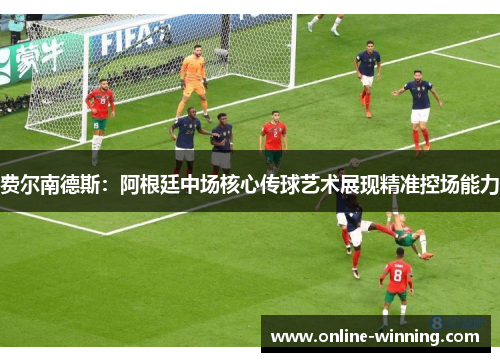 费尔南德斯：阿根廷中场核心传球艺术展现精准控场能力