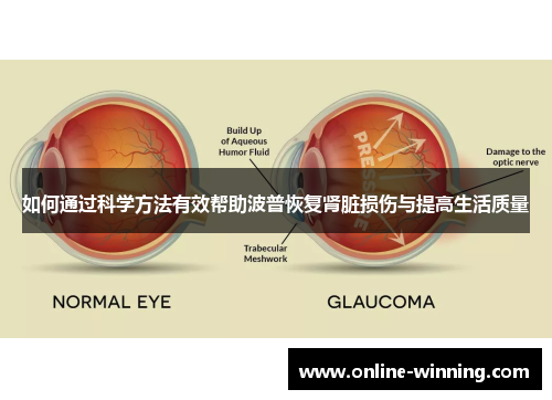 如何通过科学方法有效帮助波普恢复肾脏损伤与提高生活质量