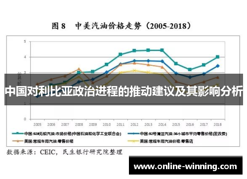 中国对利比亚政治进程的推动建议及其影响分析