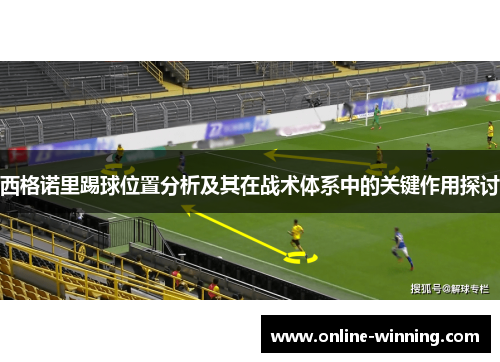 西格诺里踢球位置分析及其在战术体系中的关键作用探讨
